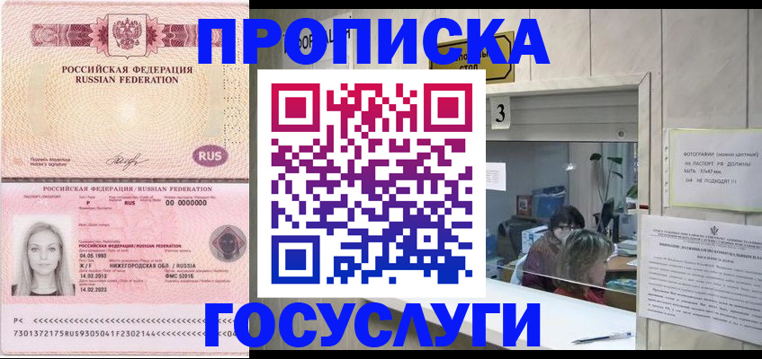 прописка паспорт в Алексеевке